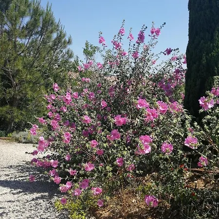 De Molines Gîte Vogue