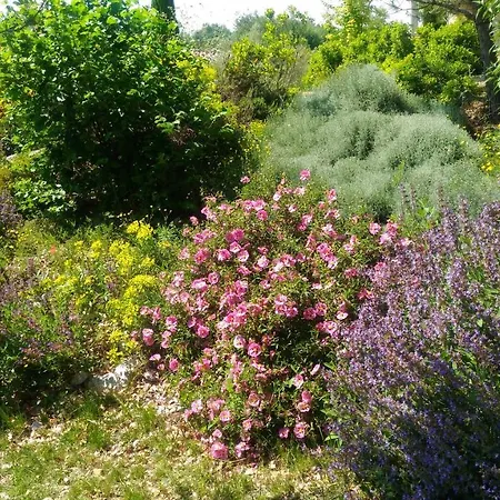 De Molines Wakacyjny dom do wynajęcia we Francji  Vogue