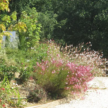 De Molines Wakacyjny dom do wynajęcia we Francji  Vogue