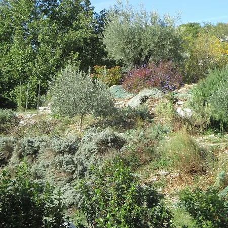 Gite De Molines *