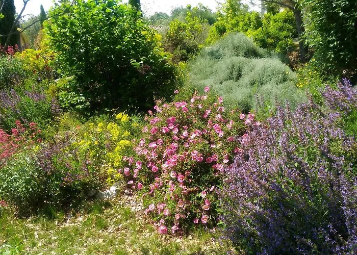 De Molines Gîte Vogue