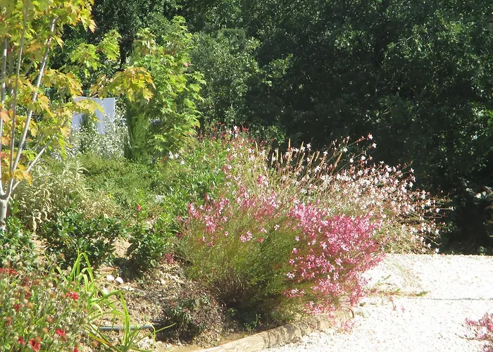De Molines Gîte Vogue